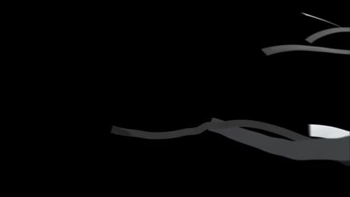 Elegant Fluid Ribbon Logo Reveal Transition