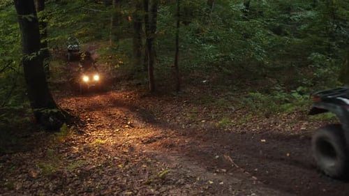 Outdoor Thrill Forest Path Nature Journey