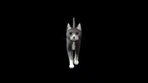 Black Cat Walk Idle Vorderwinkel
