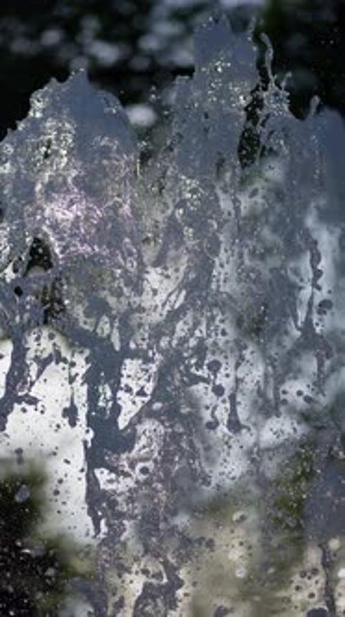 Dynamic Fountain of Splashes on Background of Trees Streams of Water Spray Fountain Concept of Urban
