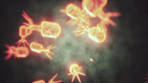 Virus Cells or Bacterias Under Microscope