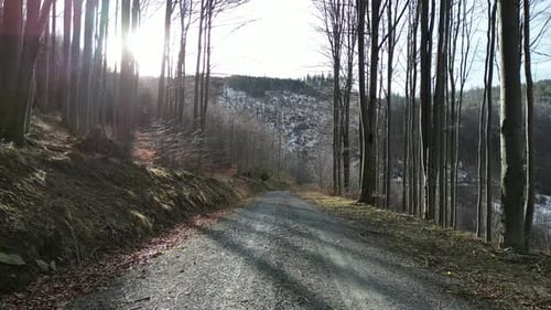 Waldstraße