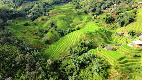 Sapa Valley rice terraces, surreal landscape, Vietnam.