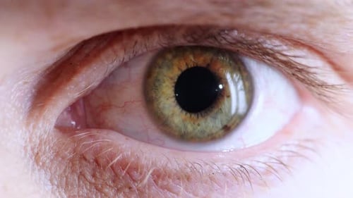 Mujer, ojo y macrovisión, enfoque y apertura del globo ocular