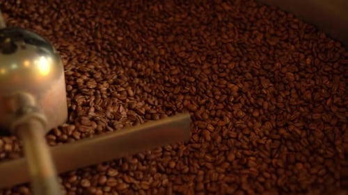 Stirring Roasted Coffee Beans in a Machine