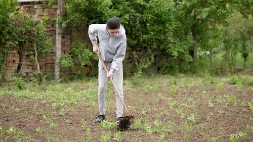 Un adolescent faisant un travail rémunéré en binant les mauvaises herbes dans le jardin Un adolescent gagne de l'argent en utilisant la houe pour