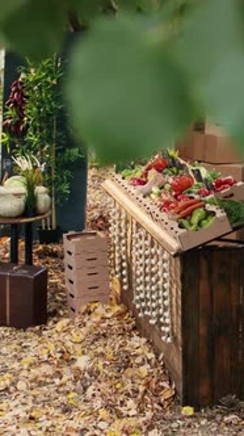 Vertical Video Local Seasonal Products at Farmers Market Counter Stand