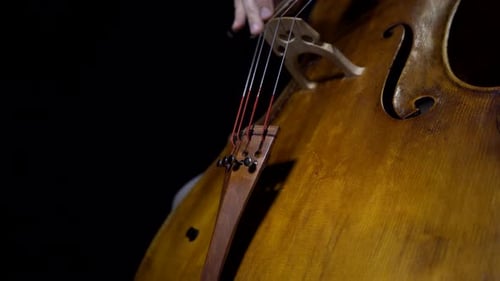 Close up of cellist tunning his cello in detail.