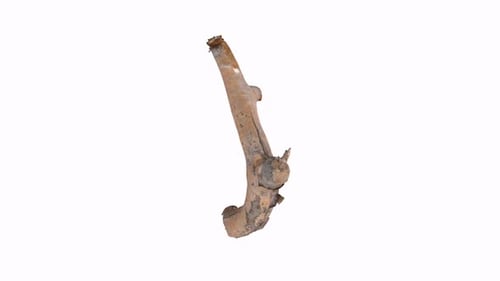 Dead Branch isolated on white background