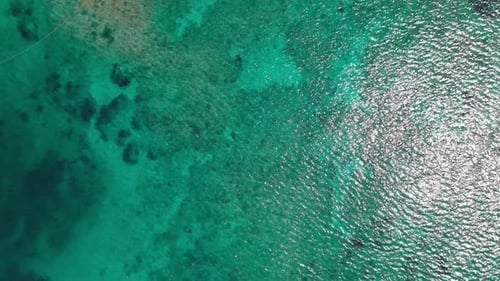 Beautiful sea details.