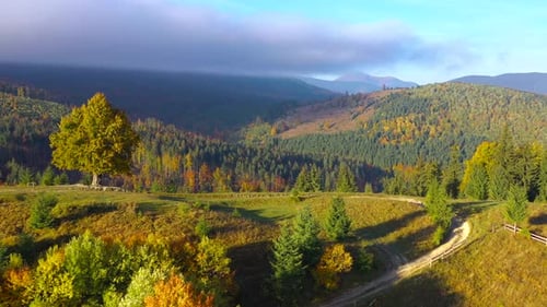 Aerial View of a Bright Autumn Forest on the Slopes of the Mountains at Sunrise