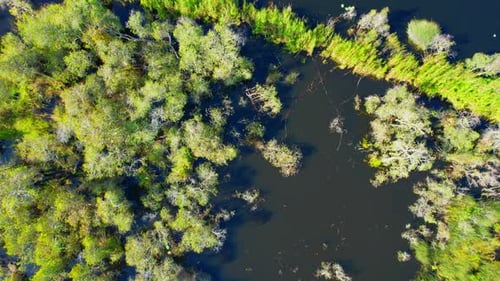 Aerial view footage of wetland landscapes. 4K