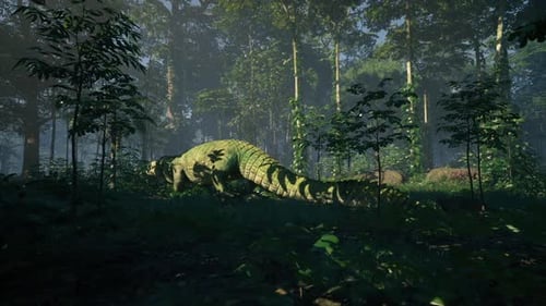 Crocodile se reposant dans une forêt dense sous la lumière du soleil