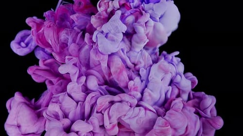 Swirling Purple and Pink Ink on Black Background