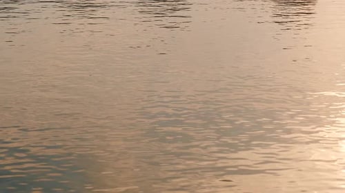 Sea Water Surface at Sunset Time Golden Glisten of Sunlight Reflects on the Sunset Sea Surface