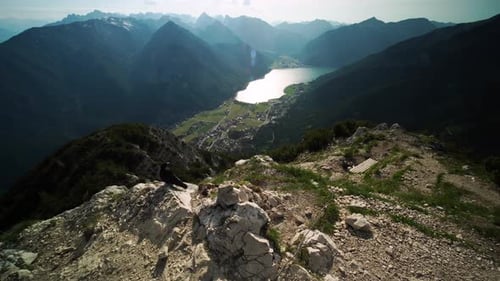 Oiseau noir qui décolle. Clouche alpine survolant de grands sommets montagneux en Autriche, dans le Tyrol, à côté du l