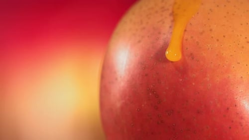 Mango with dripping juice close up