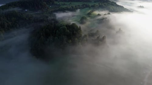 Magical Aerial Morning Scene with Sun Rays Piercing Through Misty Forest in the Mountains