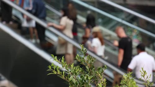 People on the Escalator Crowd of People in the City Movement of People