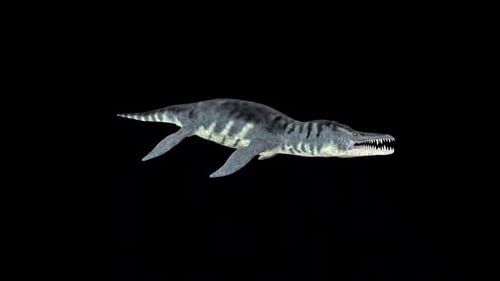 Liopleurodon