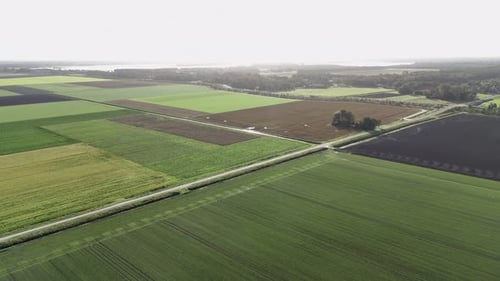 Tierra agrícola, tierra de cultivo, aérea con campos verdes