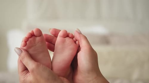 Cradled Feet: Tiny Baby Feet in Adult Hands