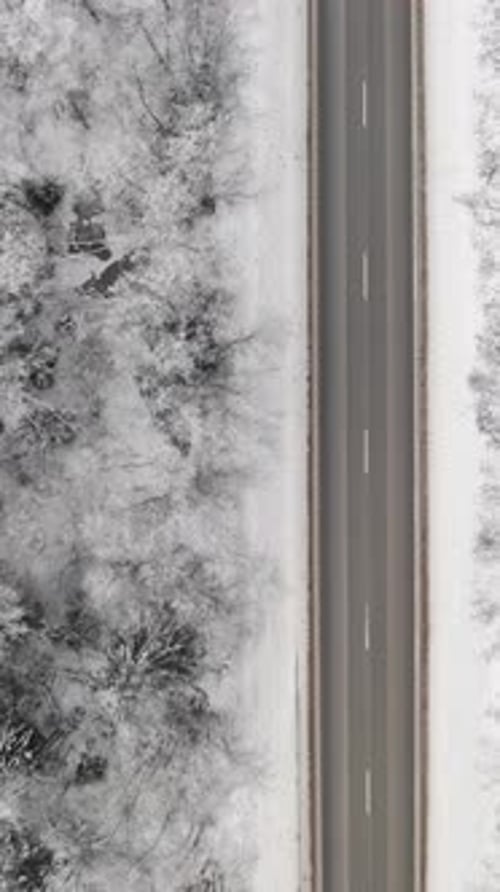 Vertical aerial view of a highway through the forest in winter. Top down drone view of a car driving