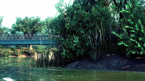 Scenic Lake in the Summer Park