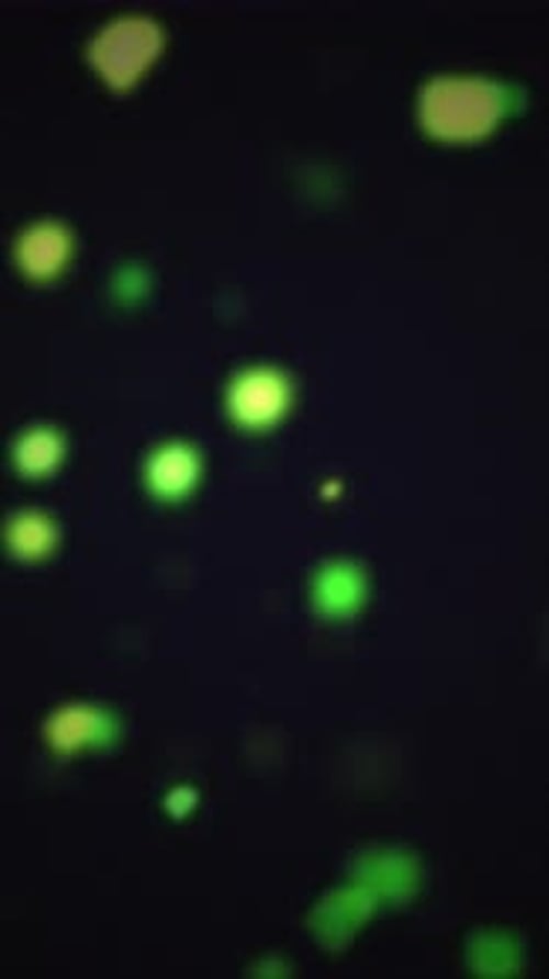 Lumières abstraites, lumière verte, effet bokeh, cercles flous, fond sombre
