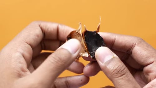 Tirando a pele de um alho preto