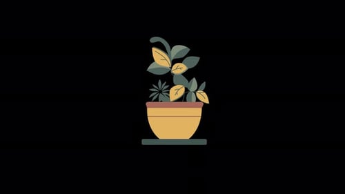 Flat Design Potted Plant Growing Animation