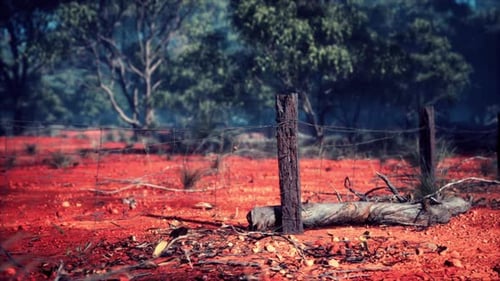 Animated Barbed Wire Fence in Arid Red Desert Landscape