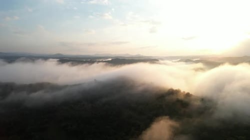 Aerial View of Foggy Valley