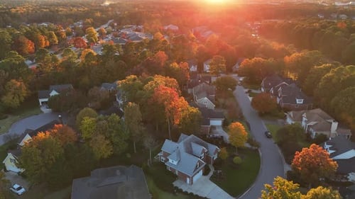 Aerial View of American Houses Surrounded By Trees at Sunset USA