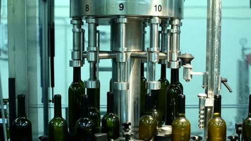 Wine Bottle Conveyor Line in Operation at a Production Facility for Efficient Packaging and