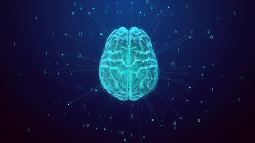 Cerveau numérique