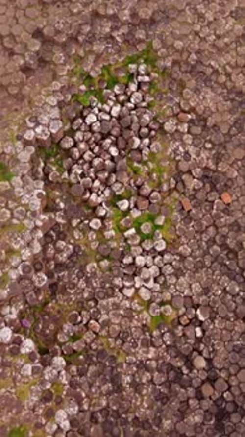 Tight overhead social ratio aerial video of The Giant's Causeway in Bushmills, Northern Ireland