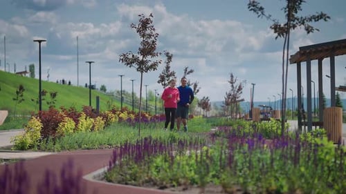 A Man and a Woman Run Around a Beautiful and Wellmaintained City Park Summer Cardio Training is
