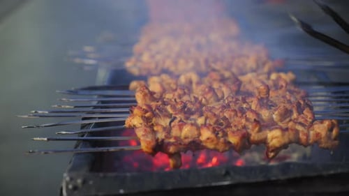 Cooking a Traditional Kebab or Meat on Fire Close Up View