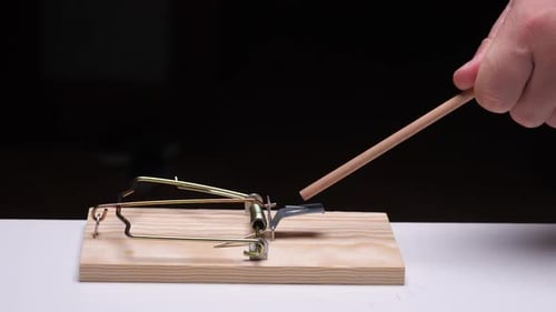 Mausefalle mit Holzstab auf schwarzem Hintergrund, von Hand absetzbar