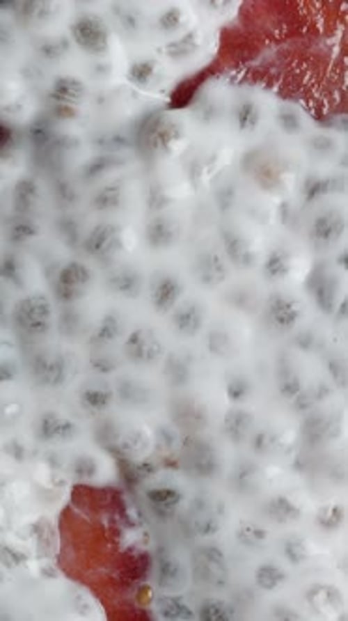 Vertical video. Top View as a Spoon Scoops Chocolate Pudding with Chia Seeds and Strawberries.