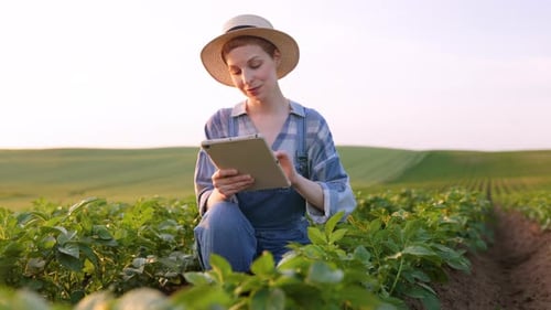 Farmer Using Tablet in Field