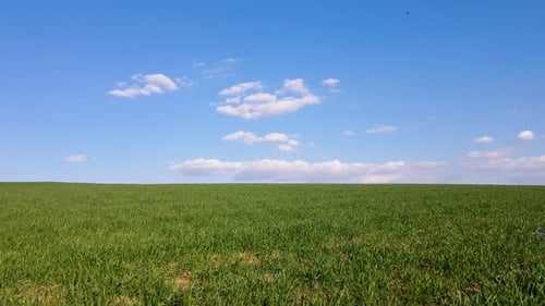 Green Meadows And Blue Sky