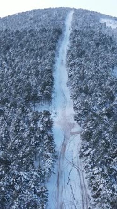 Snow Winter Forest Road Aerial Drone
