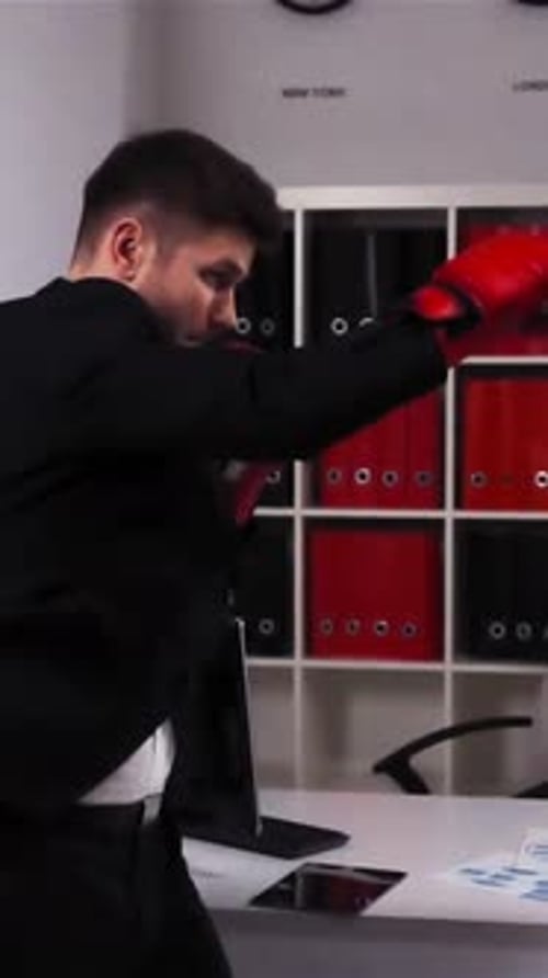 Vertical of Boss and Employee Boxing in Office Room