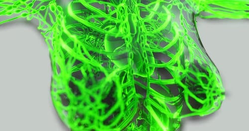 Human Lymphatic System Anatomy 3D Medical Animation
