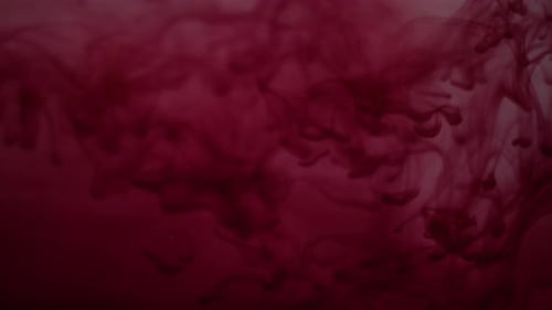 Red Fluid Cloud Flowing on Light Background