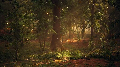 A Forest Filled with Lots of Trees Covered in Fireflies