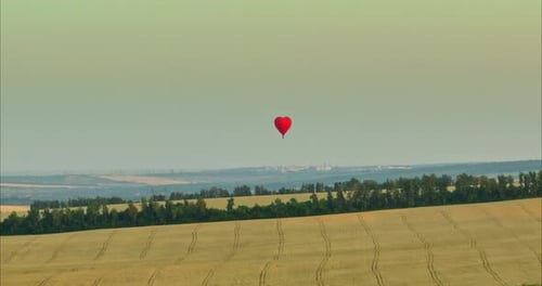 Aerial View a Balloon in the Shape of a Heart Flies Over a Golden Wheat Field