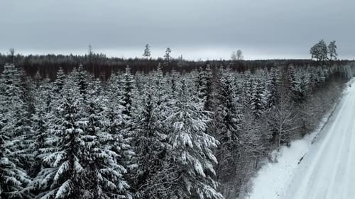 Aerial View of Snowy Forest in Winter Landscape